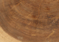 Assise ou table d'appoint - tronc en teck teinté blanc - Tribe - Bazar Bizar
