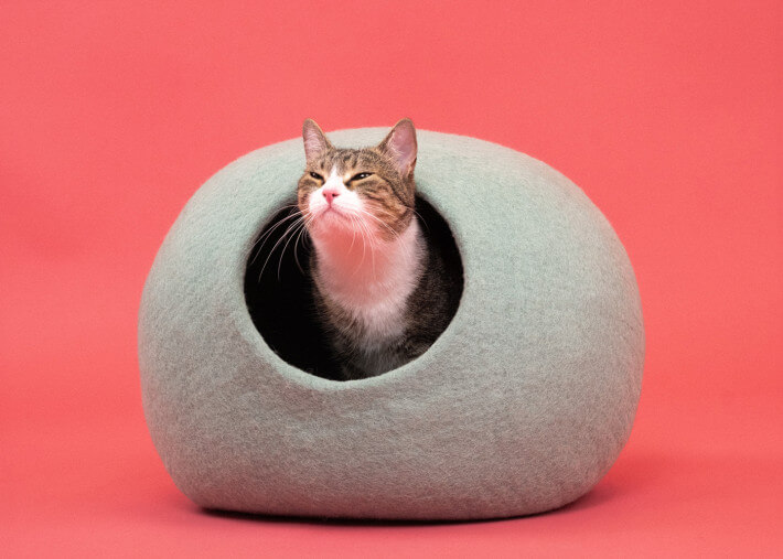 Grotte pour chat en feutre de laine – Myfelt, 5...