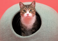 Grotte pour chat en feutre de laine – Myfelt, 5 coloris