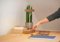 Lampe de bureau en bois de chêne - Kiko par Szyszka Design