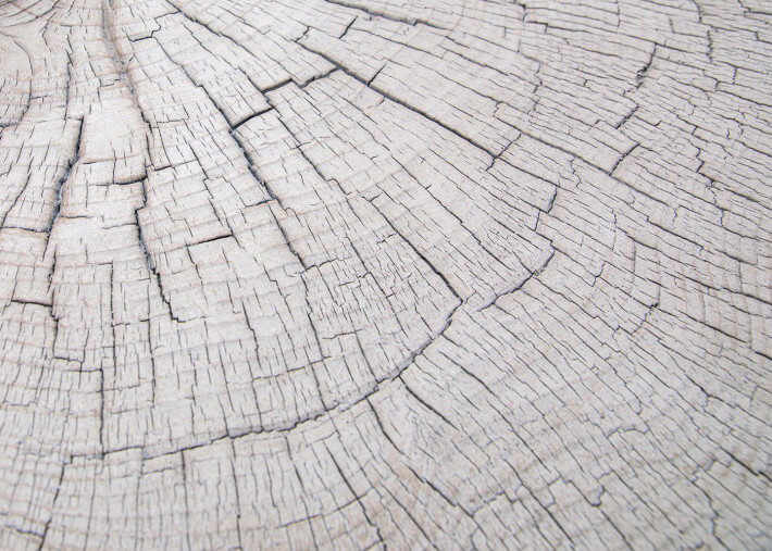 Table d'appoint imitation tronc de bois -...