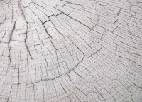 Table d'appoint imitation tronc de bois - Daintree par Elementi