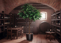 Ficus artificiel géant 300 cm : arbre décoratif XXL d'intérieur Sinder