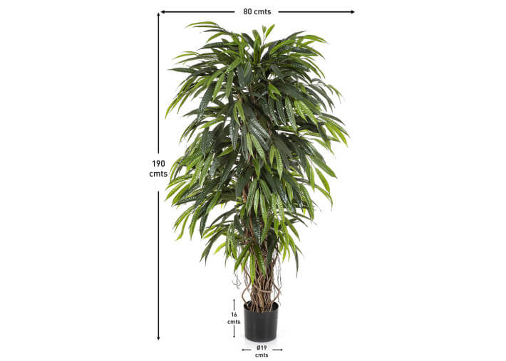 Arbre Longifolia artificiel 190 cm : élégance...