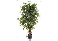 Arbre Longifolia artificiel 190 cm : élégance végétale naturelle Sinder