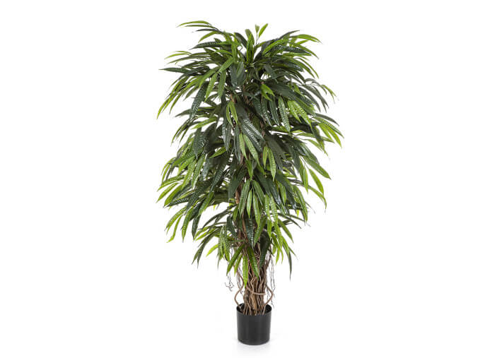 Arbre Longifolia artificiel 190 cm : élégance...
