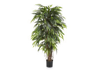 Arbre Longifolia artificiel 190 cm : élégance végétale naturelle Sinder