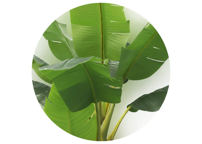 Bananier artificiel 240 cm : plante tropicale...