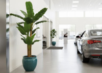 Bananier artificiel 240 cm : plante tropicale XXL d'intérieur Sinder