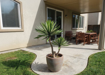 Yucca artificiel 2 tiges 155 cm : plante graphique et...