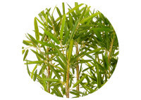 Séparateur bambou artificiel 180 cm brise-vue naturel élégant Sinder