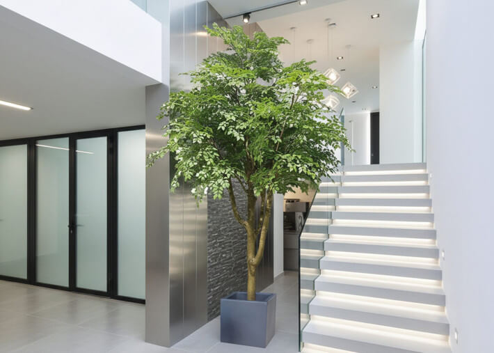 Ficus artificiel géant 300 cm : arbre...