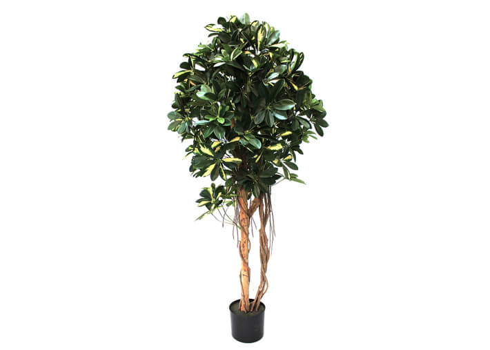 Schefflera artificiel 150 cm plante verte...
