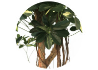 Schefflera artificiel 150 cm plante verte élégante intemporelle Sinder