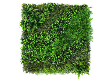 Panneau artificiel Mysto Yaravi 100x100 cm : mur végétal...