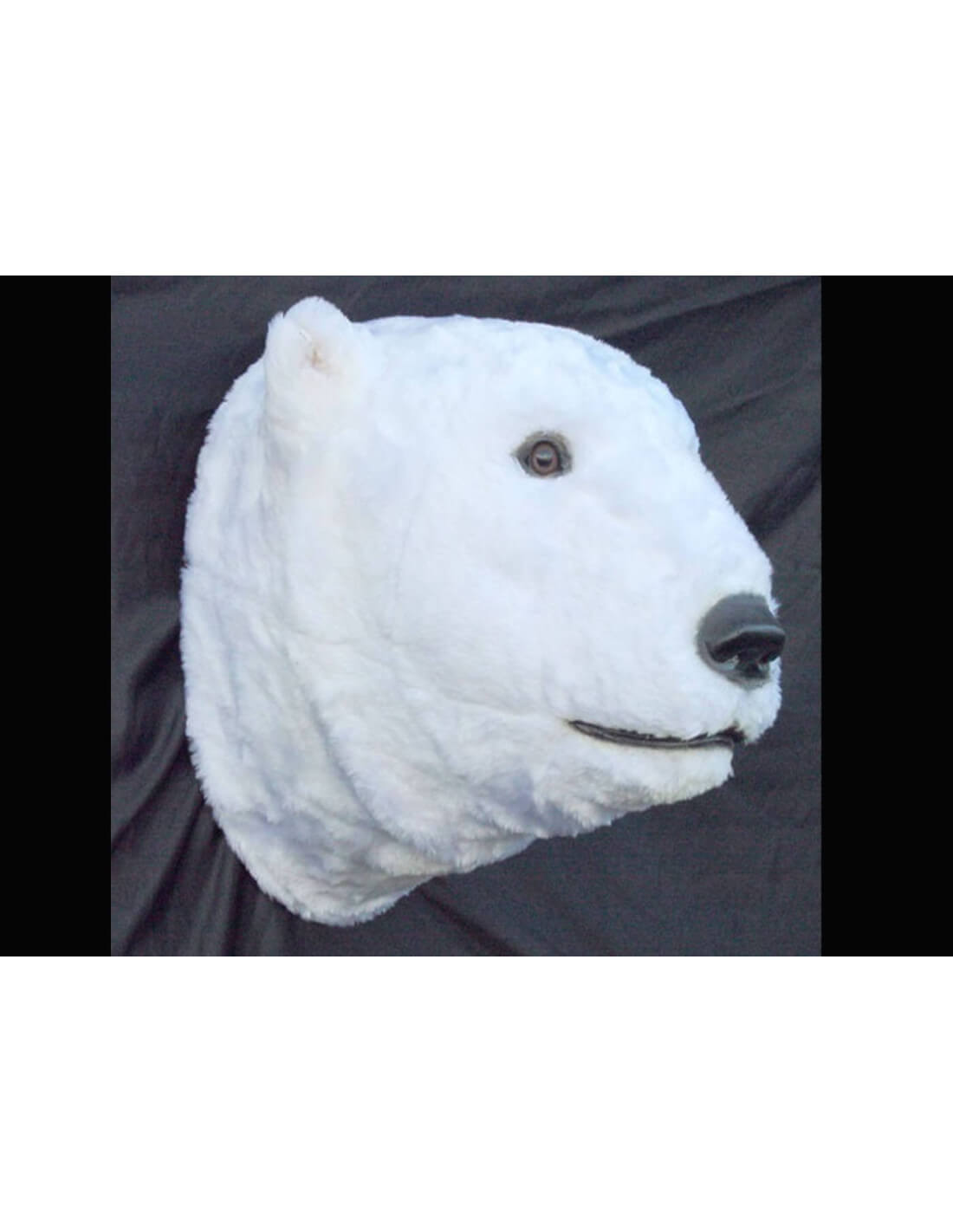 Sculpture Murale Tête D'ours En Résine - Décoration Chic Pour Salon, Bureau, Hôtel - 21 X 18,5 Cm - 11