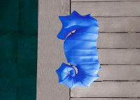 COUSSIN D'EXTERIEUR ORIGINAL FORME HIPPOCAMPE BLEU MARINE - MX HOME