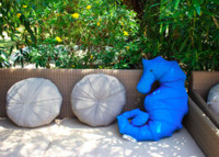 COUSSIN D'EXTERIEUR ORIGINAL FORME HIPPOCAMPE BLEU MARINE - MX HOME