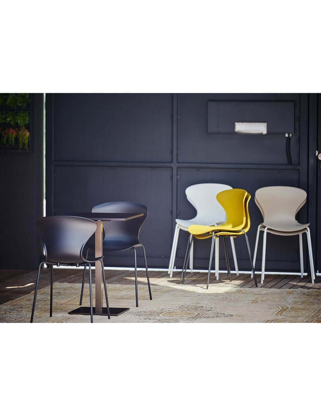 Chaises design colorées en rangée près d’un mur bleu foncé, ambiance salle à manger moderne et lumineuse.