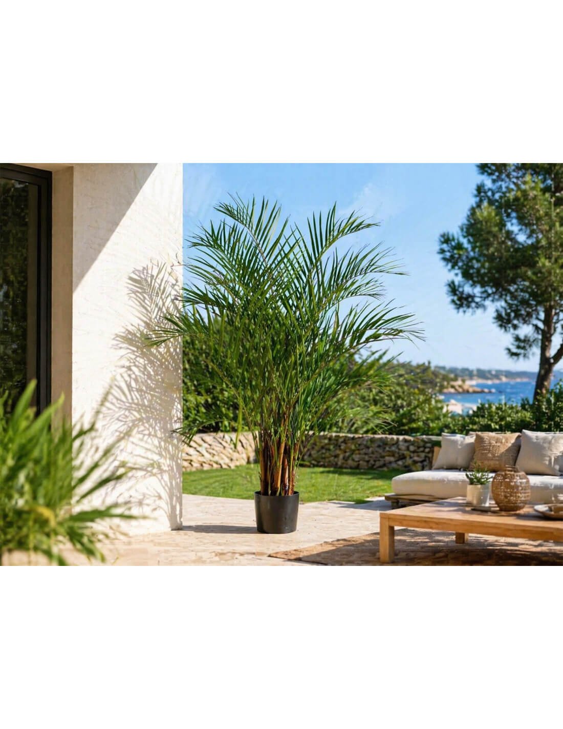 Terrasse contemporaine végétalisée avec pots et jardinières